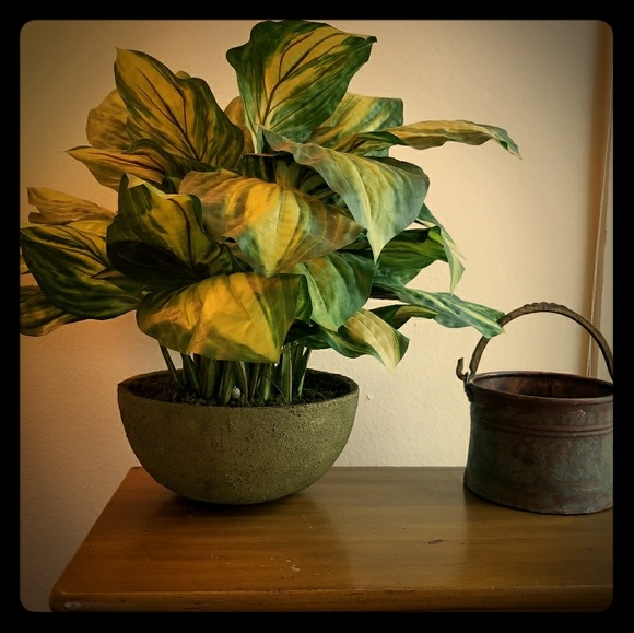 Meet your Posher. - Picture 1 of 1